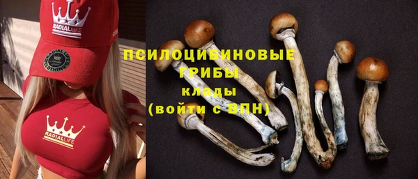 PSILOCYBIN Бугульма